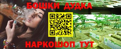 круглые Лесосибирск