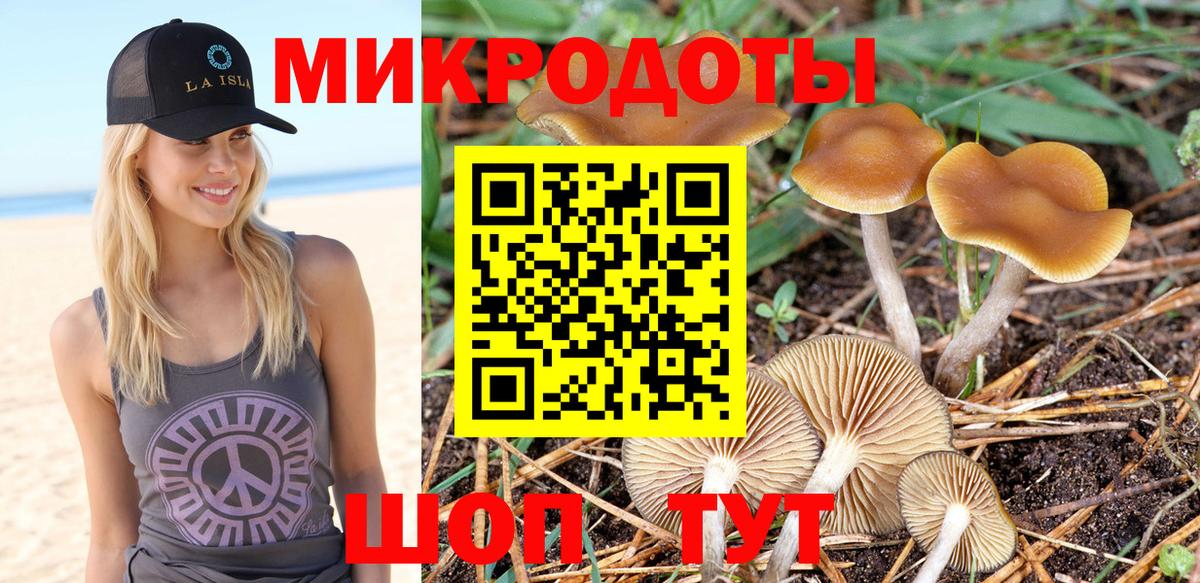 Шелехов  Галлюциногенные грибы мухоморы  Вход с VPN 